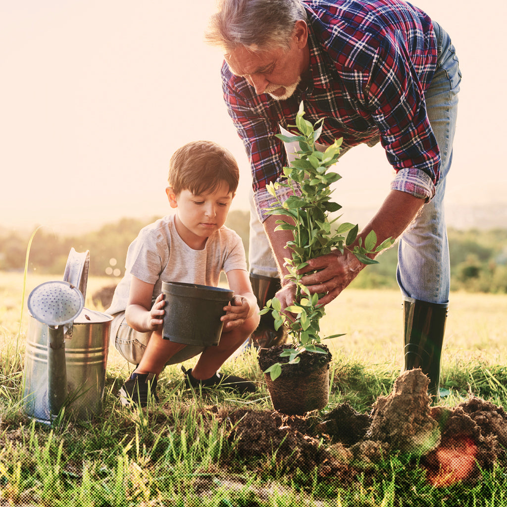 Eco-Friendly Activities for You and Your Family