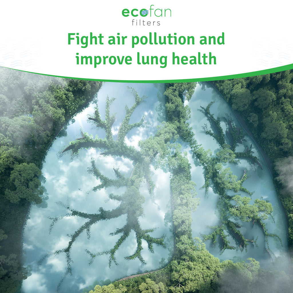 Fight Air Pollution & Improve Lung Health